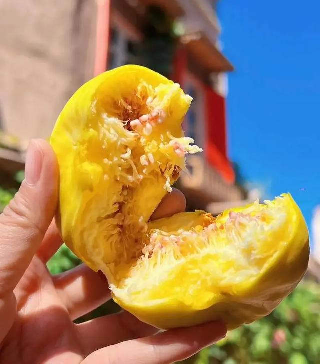 中国最西端的一座城，玉石般的地方——超全新疆喀什旅游攻略