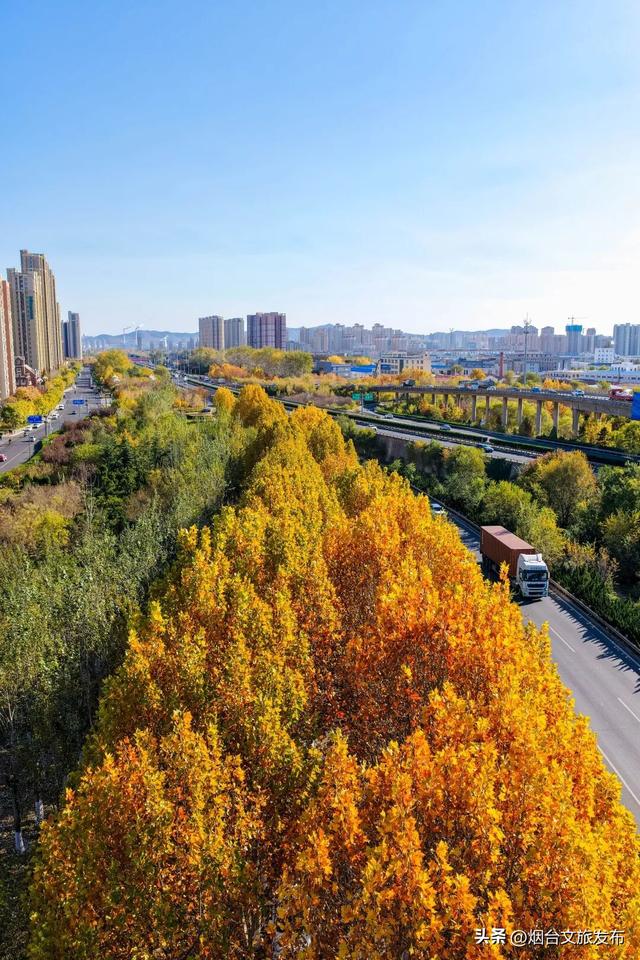 【乐游烟台】现在就冲！烟台这几处街景美到开挂