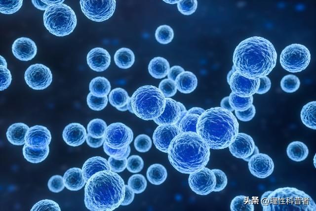 病毒，到底是生物还是非生物？本文为你解读