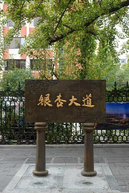 11月一定要收藏一份全国银杏观赏地图