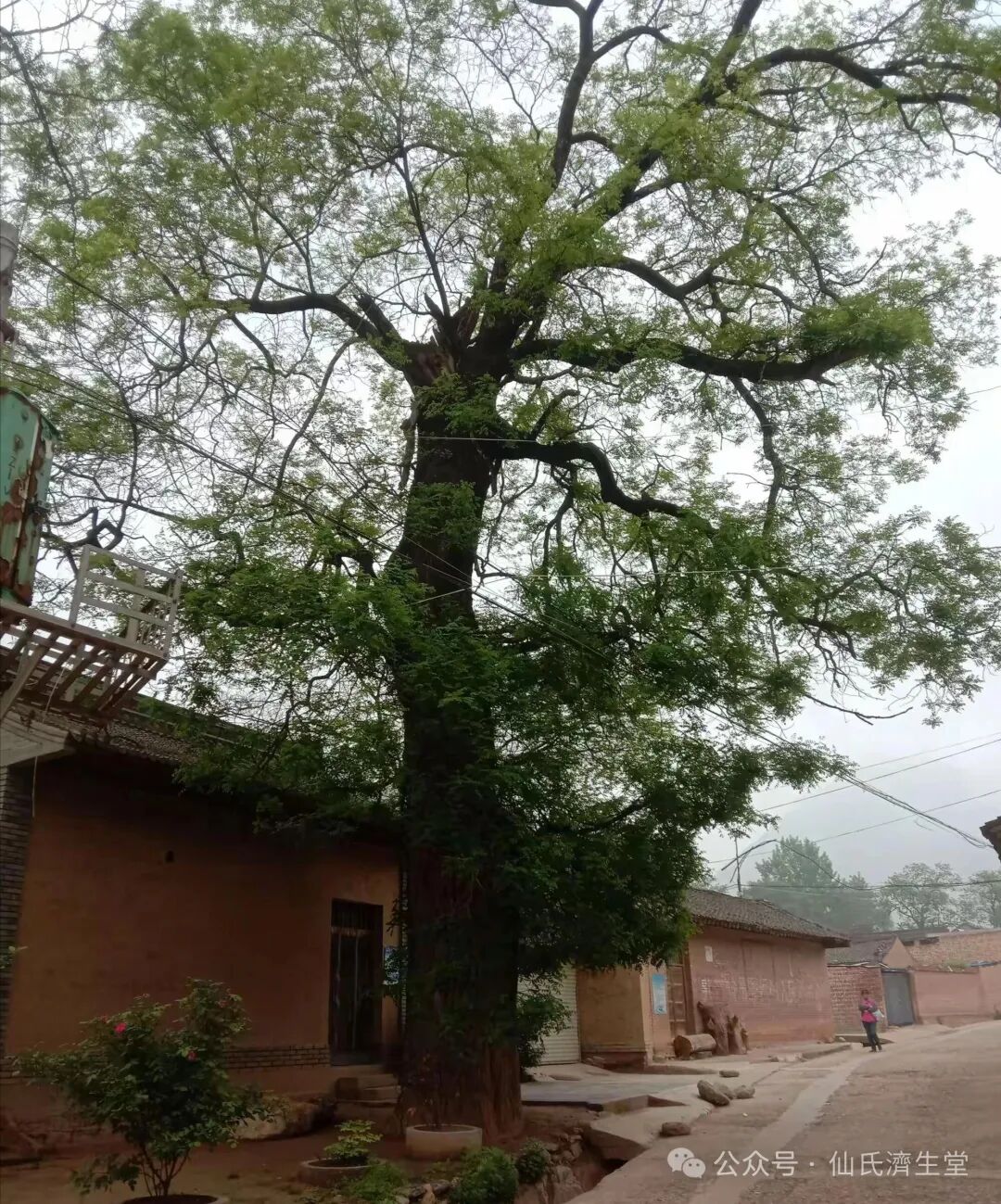 408dd67b2ed534d859d261c358543baa.jpg nEO_IMG_8.jpg