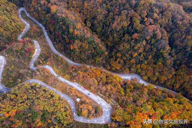 光雾山：川陕腹地的红叶秘境与千年回响