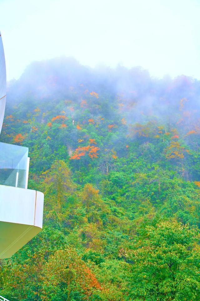 走，到屏山老君山赏秋去→