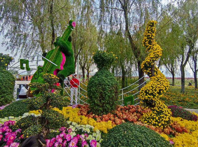 人从众菊花展VS男厕被沦陷