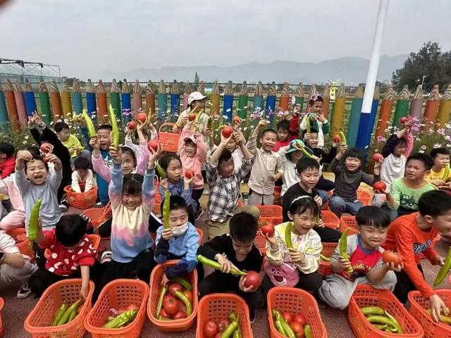牛耕、捉泥鳅、长桌宴......厦门这片田园,承包你整个夏天的快乐!