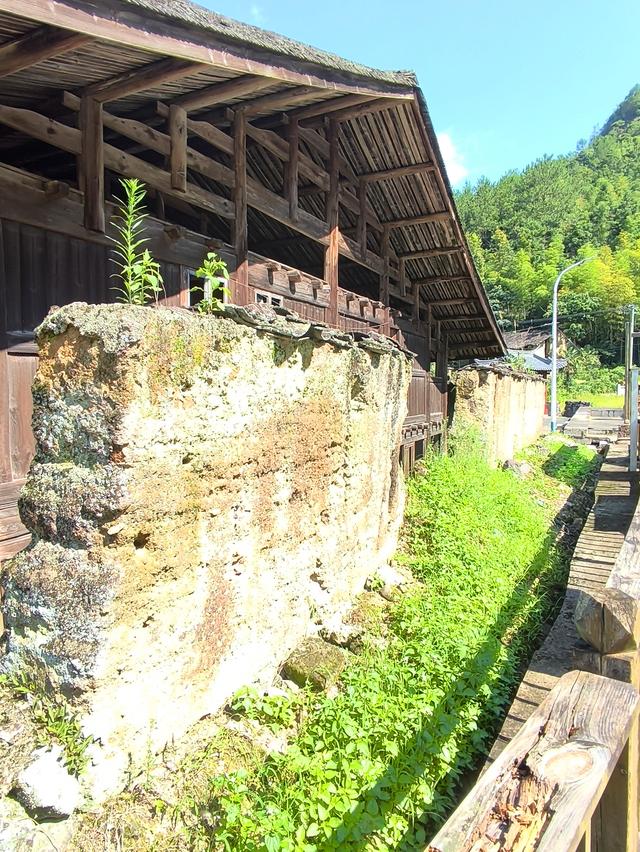 福建 · 福州 · 大湖 · 一村一品：岭头村(2025·7·28～8·1)