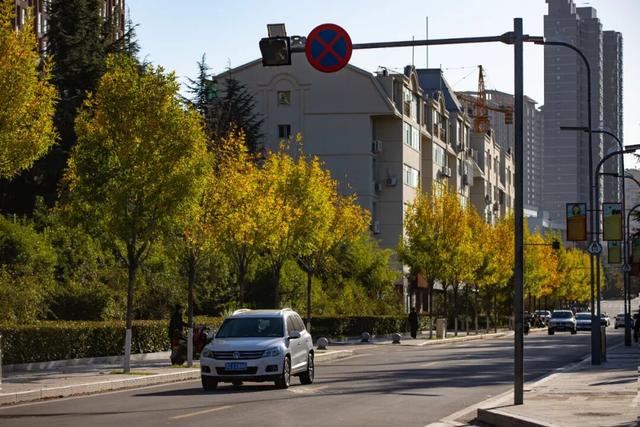 小城秋色：三门峡涧河边的诗意交响