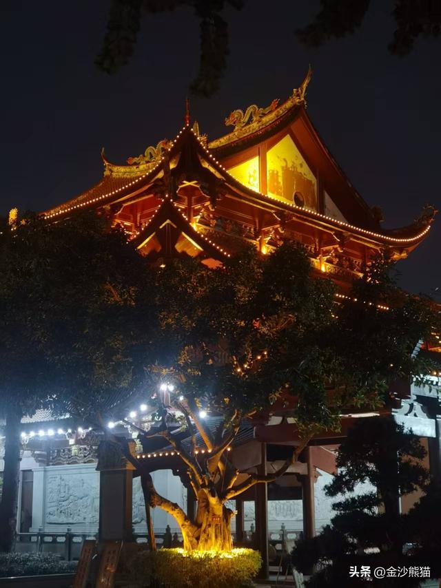 从厦门到漳浦诞生此行第一胎 品美味河豚 双龙连续第三年千里双骑9