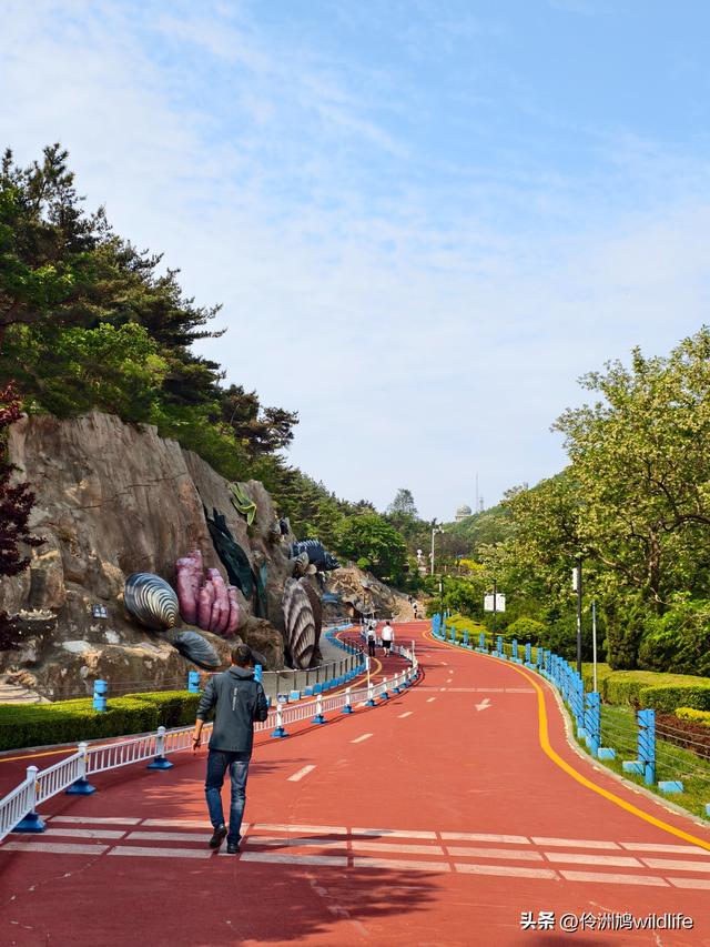 大连海之韵公园·棒槌岛