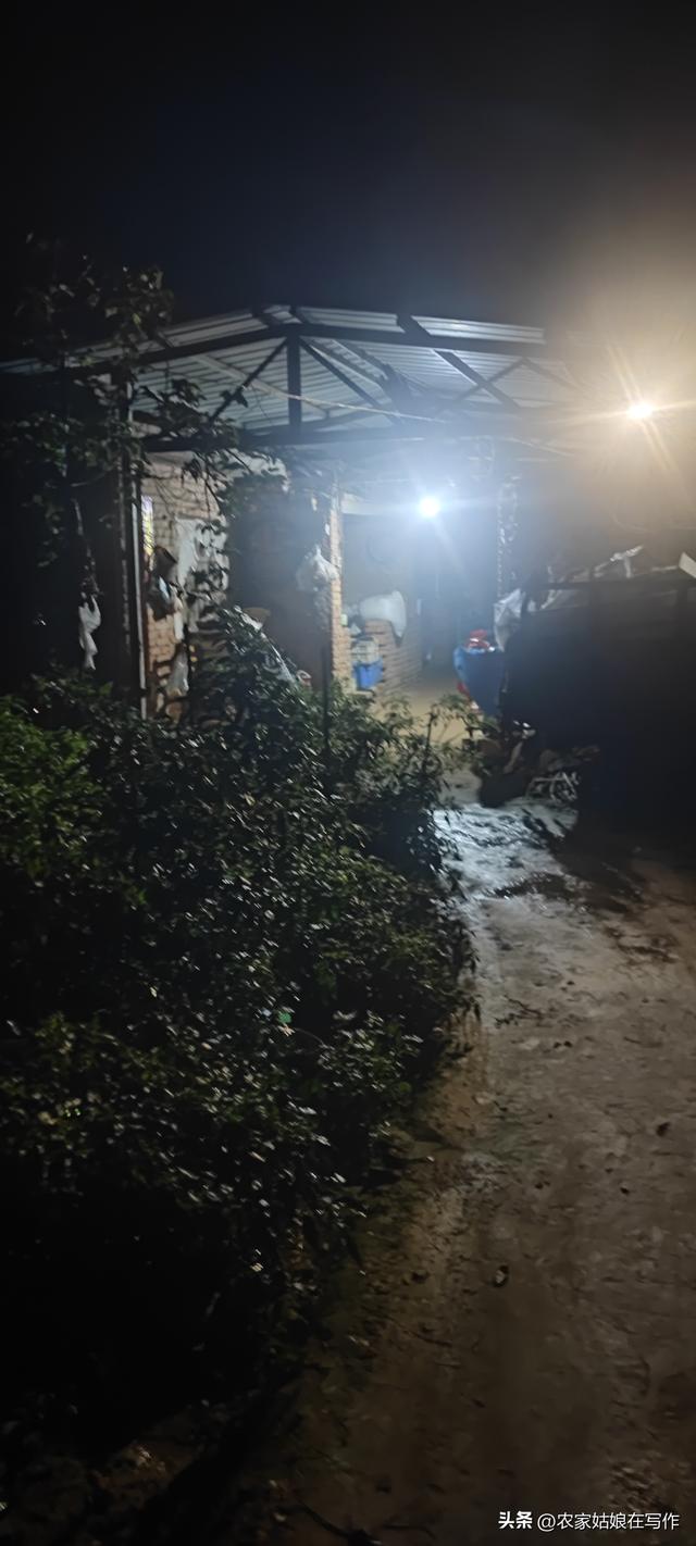 回河南老家日记（1）高速路上的见闻