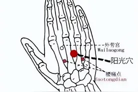 “阳光穴”，一个治疗腰痛的好穴位图片