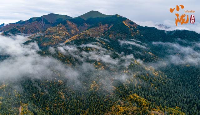 【小陇画报·432期】初冬时节 临潭最后一波秋色惊艳诱人