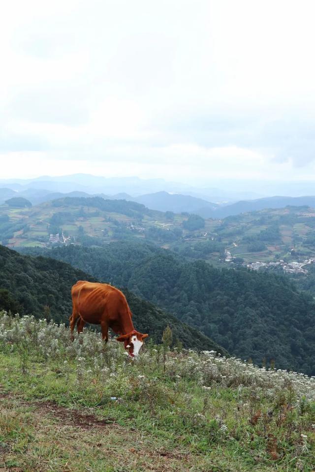 10月，「需要另一个同类」