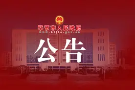 2025年毕节市高校毕业生“三支一扶”计划招募资格复审公告图片