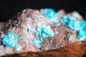 印太稀土联盟已成，四国在美牵手，中国做了个29年来的重大决定图片