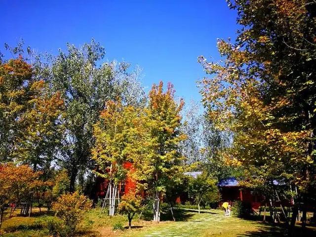 云南省下一个“黑马城市”已亮相，远超红河，成为新的希望之星