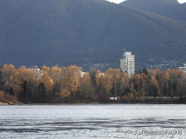 温哥华游记（四）