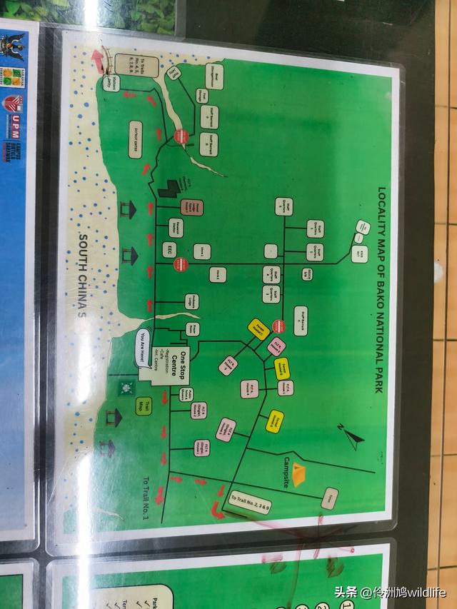 马来西亚(35)砂拉越州⑨峇哥国家公园徒步线路