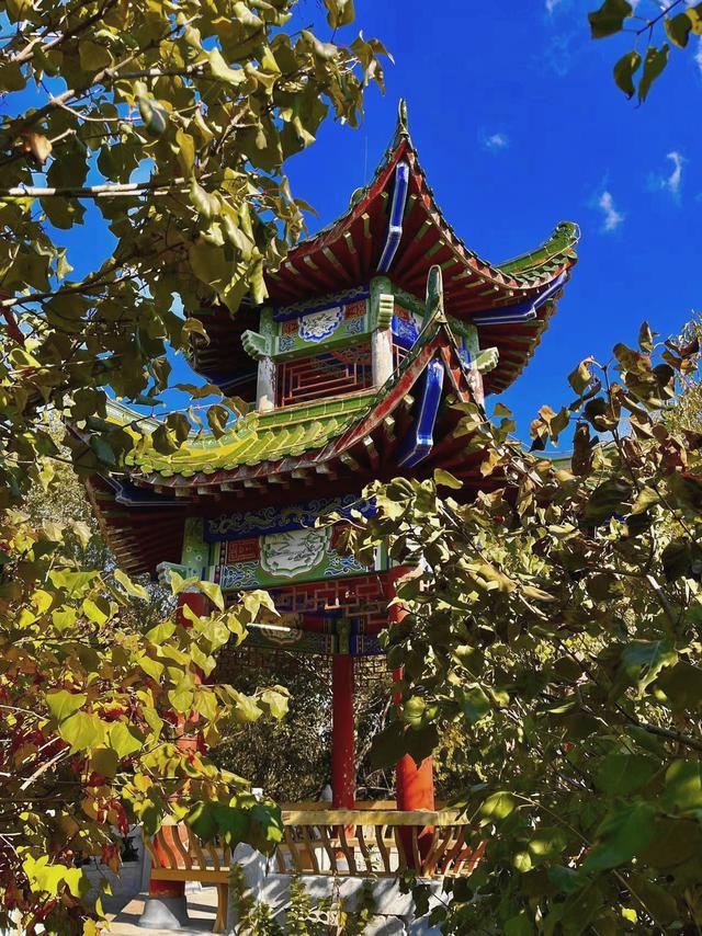 秋之彩色吉林 | 北国秋韵VS江南柔情！长春这两座公园，古朴与婉约秋景全都有
