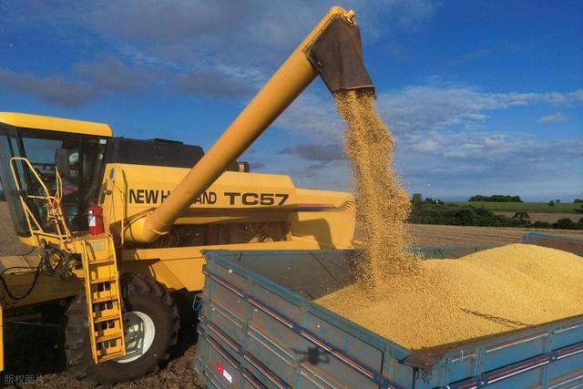 中国说不买就不买了！特朗普万万没想到	，中方兑现承诺后果断回头