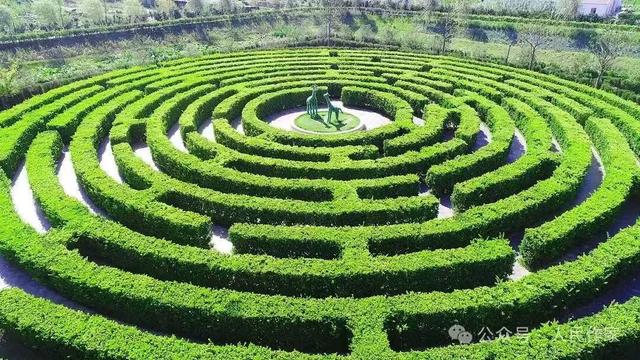 江波 I 谁在迷宫里埋下梦幻的密码