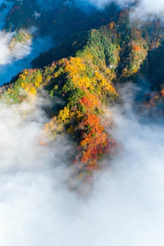 分享图片一迷人的风景