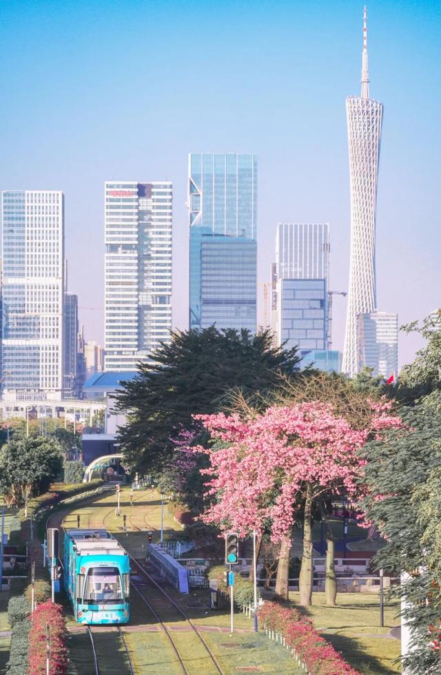 地理冷知识—12月份去哪旅游