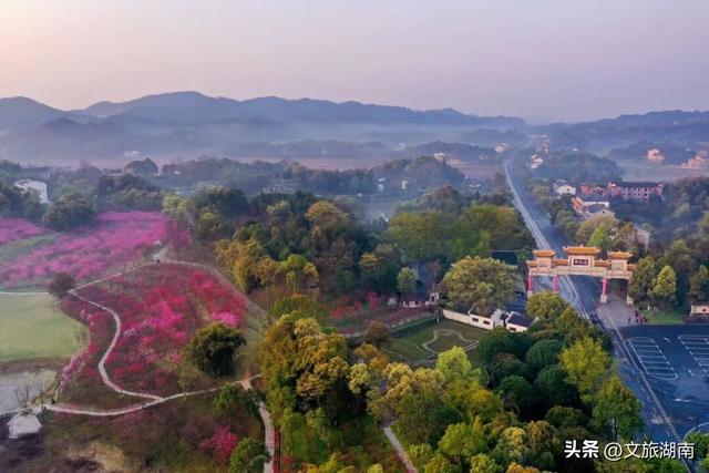 免票！半价 ！湖南这些景区送福利