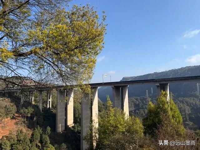 阳光明媚的冬日里,我们爬山去,逛陡坡村、看冬樱花,做晴朗的事