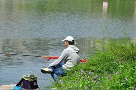农村青年外出无工可打，在家又无土地可种，未来何去何从图片