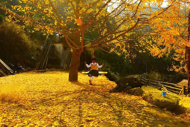 怀集的四季！带你回顾，带你深入