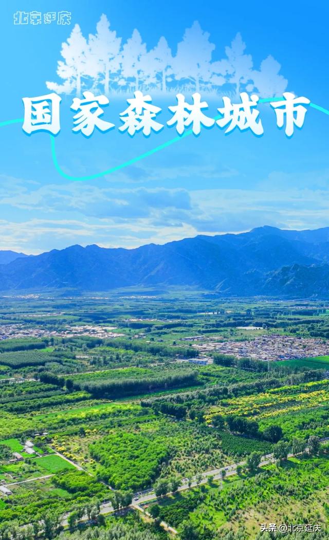延庆，你还可以叫她_______