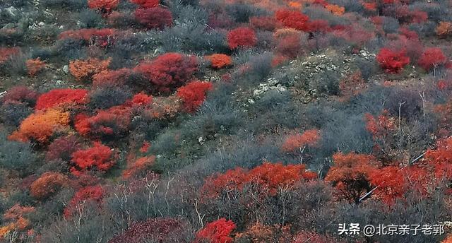 周末自驾五彩浅山！闯入北京醉美秋日童话