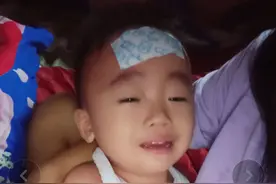 闹大 ! 印尼美女携2岁男孩寻中国父亲 , 网友出力把张志斌扒得底朝天图片