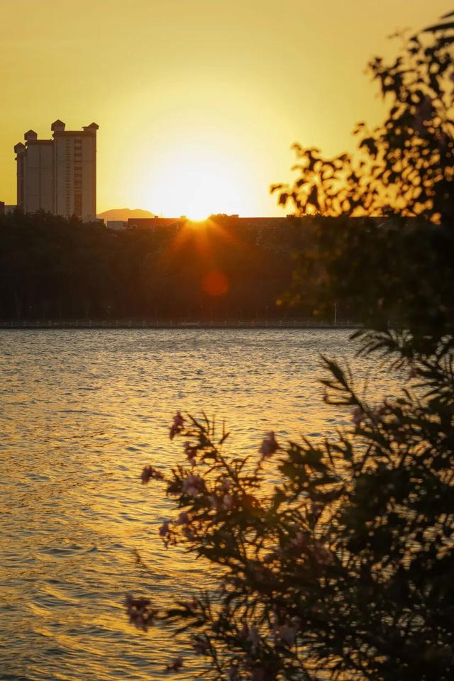 冬日暖阳里，来丰泽这儿享受惬意时光……