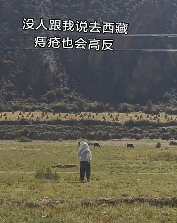 笑麻！游客去趟西藏痔疮遭大罪了，网友喊话西藏文旅
