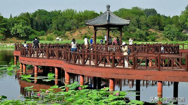 探秘鸡西铁西森林公园：北国的生态净土与梦幻之境