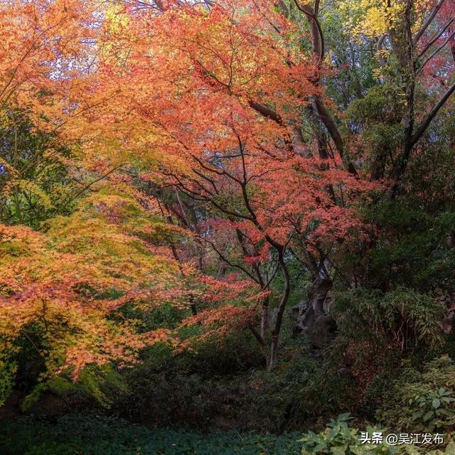 周末去打卡丨太好拍~东太湖绝美机位，“框框”出大片！