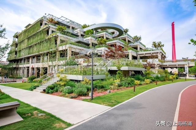 快来杨浦打卡！这条游玩线路有料又出片→