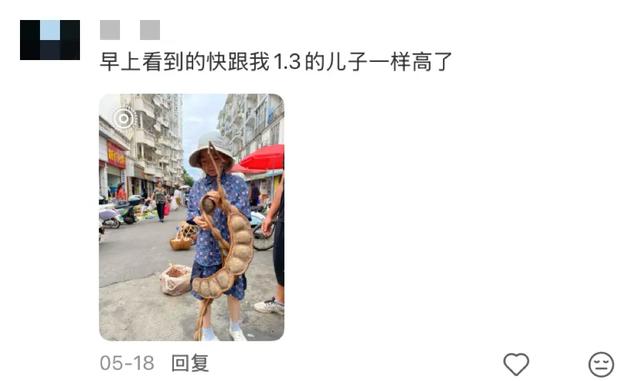 这可能是我买过的最离谱的特产: