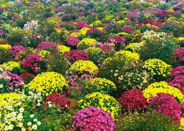 在山东这座小城，我亲手淘到了闪闪的金子！