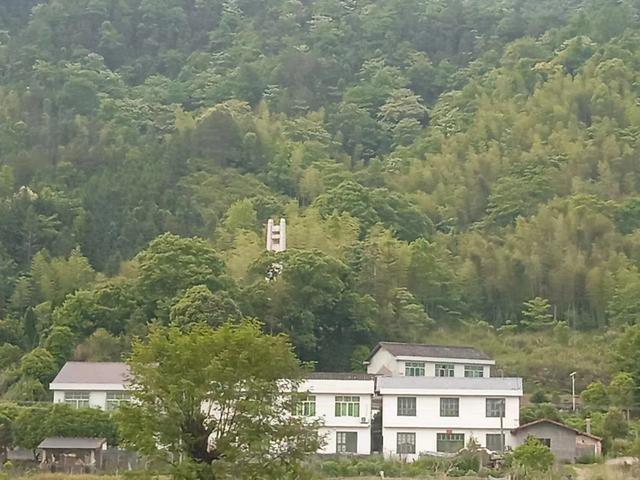 浏河滚滚欲留春，独向芳踪觅雅意——徒步小溪河散记（七）
