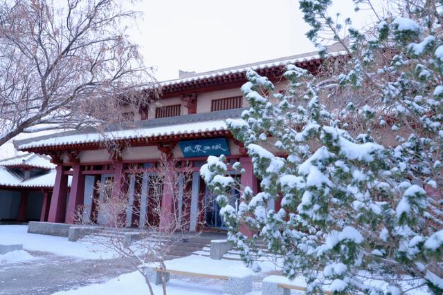 雪落阳关 温情守护