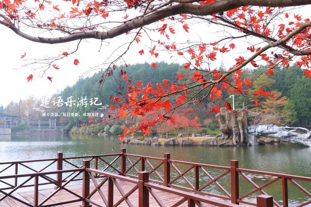 美到封神？余姚这处风景确实名不虚传，斑斓风景正值最佳观赏季