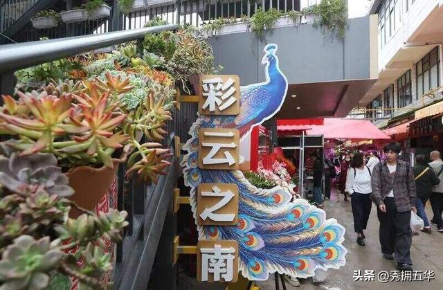昆明大观篆新农贸市场：打造文旅消费新业态，提振假日消费新活力
