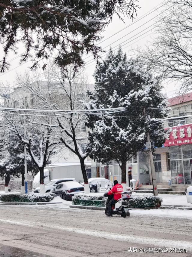 别眨眼！秦皇岛春雪的绝美瞬间，这些实拍图太惊艳了