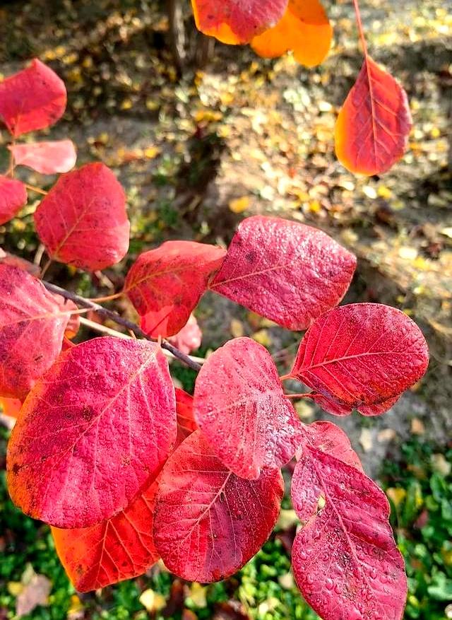 55岁阿姨相亲一见钟情，当晚同居，第二天起床竟不知对方姓名！