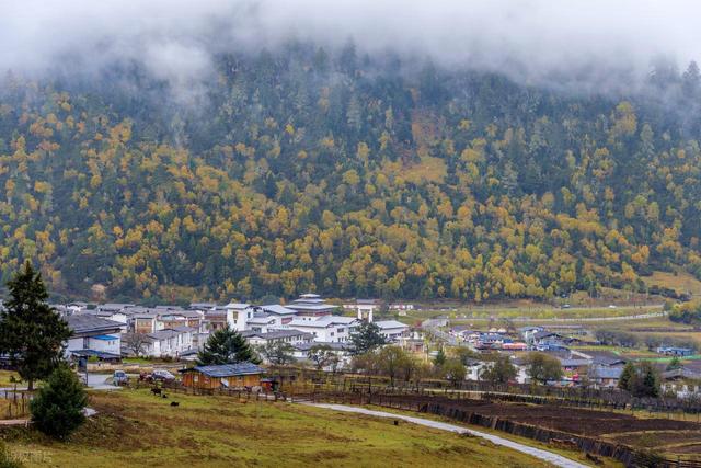 9月-11月，8条秋色公路，秋景繁盛，赏秋自驾好时候