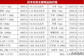 在日本挣多少钱够花？抛开“收入”谈“物价”没什么意义图片
