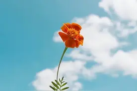 男人酒后联系的女人，是真爱吗？图片